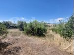 Terreno Residenziale - Mosciano Sant'Angelo . Rif.: Cod. rif U022VRG