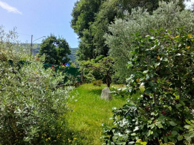 Villa di 213 m² con 4 locali e box auto in vendita a Orino - Foto 5