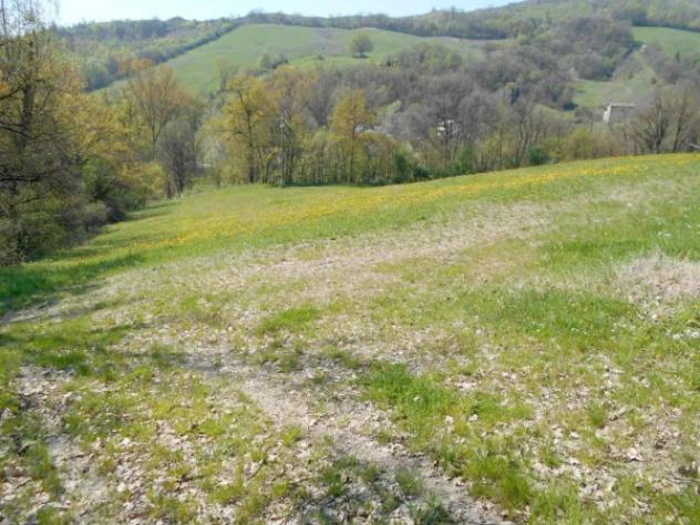 Immobile in asta di 10522 m² in vendita a Scandiano - Foto 8