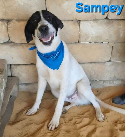 SAMPEY