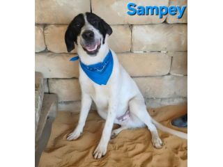 SAMPEY