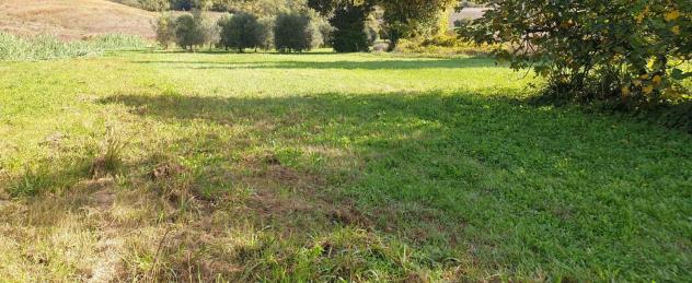 Casale in vendita a Lari - Casciana Terme Lari 450 mq Rif: 845730 - Foto 2