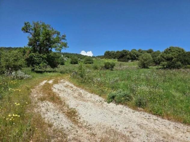 Immobile in asta di 78608 m² in vendita a Sedilo - Foto 16