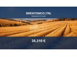 Immobile in asta di 5069 m² in vendita a Brentonico