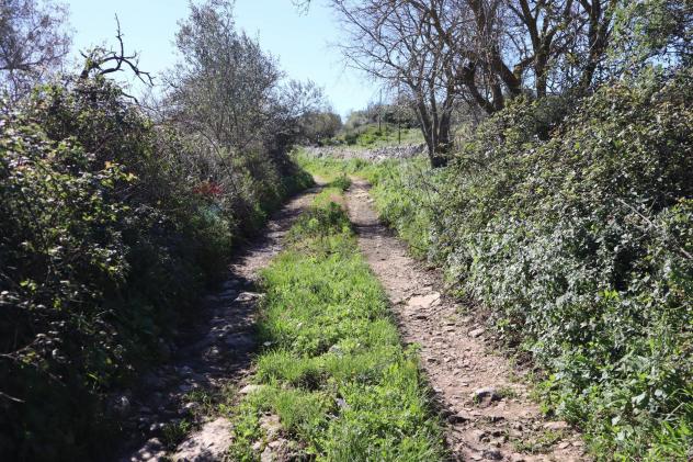 Cascina/Casale in vendita a Ragusa, Bruscé - Foto 9