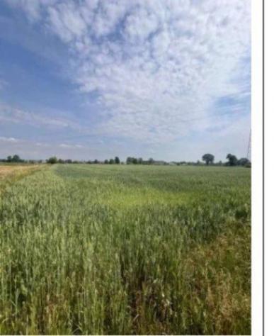 Immobile in asta di 9590 m² in vendita a Remedello - Foto 3