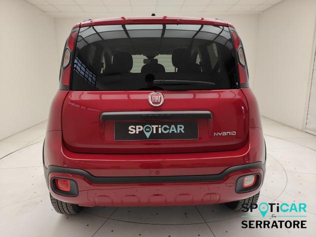 FIAT Panda Cross Panda III 2021 Cross Panda 1.0 firefly hybrid Cross s&s 70cv 5p.ti - Foto 4