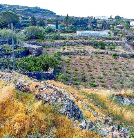 Altro in vendita a Pantelleria - Foto 3