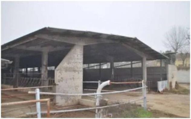 Immobile in asta di 80000 m² in vendita a Castelvisconti - Foto 12