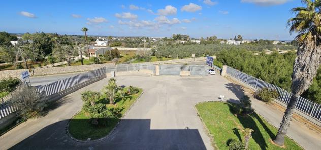 Locale commerciale in affitto a Galatone - Foto 16