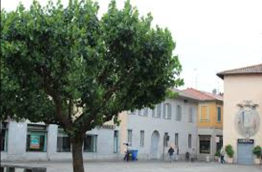 Stanza condivisa a 250 euro-MM2 Cernusco S/N - Foto 10