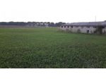 Terreno agricolo in vendita a Castiglione del Lago 590000 mq  Rif: 928938