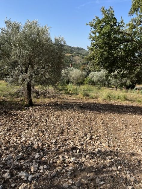 Giungano, Due Lotti Di Terreno Con Progetto Approvato - Foto 4