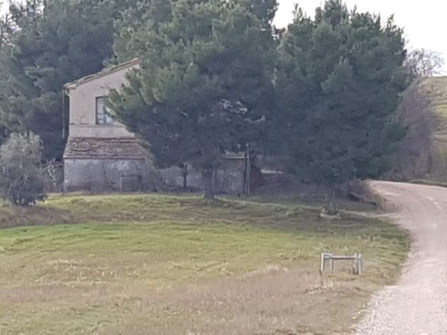 Rudere e terreni agricoli a San lorenzo in campo (PU)