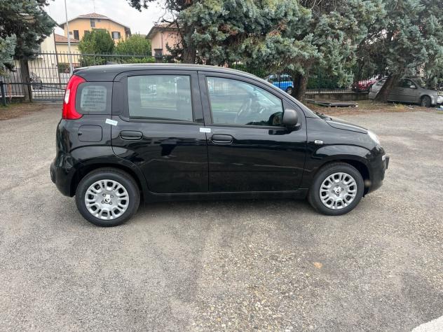 FIAT Panda Pandina 1.0 firefly hybrid Icon s&s 65cv - Foto 6