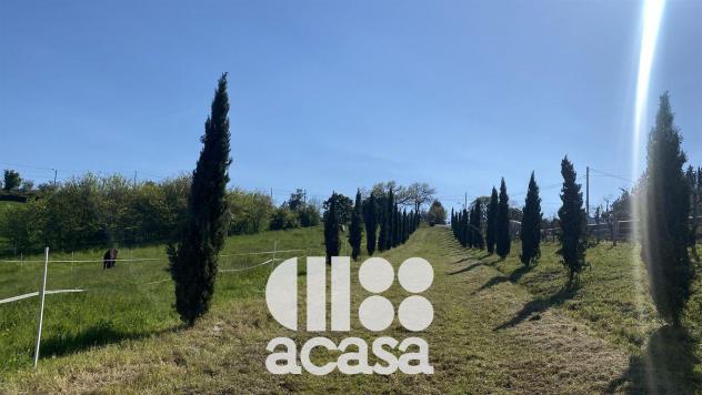 SOLO PER IMPRENDITORI AGRICOLI - Foto 12