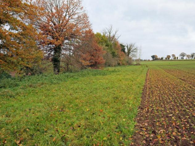Terreno di 59632 m² in vendita a Bologna
