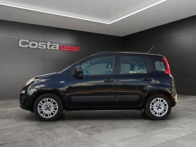 FIAT Panda 3ª serie 1.2 Easy - Foto 4