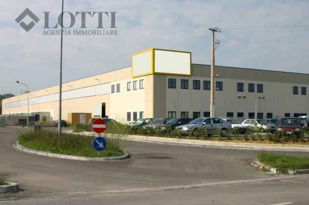 Capannone industriale in vendita a Selvatelle - Terricciola 12500 mq Rif: 724384 - Foto 2