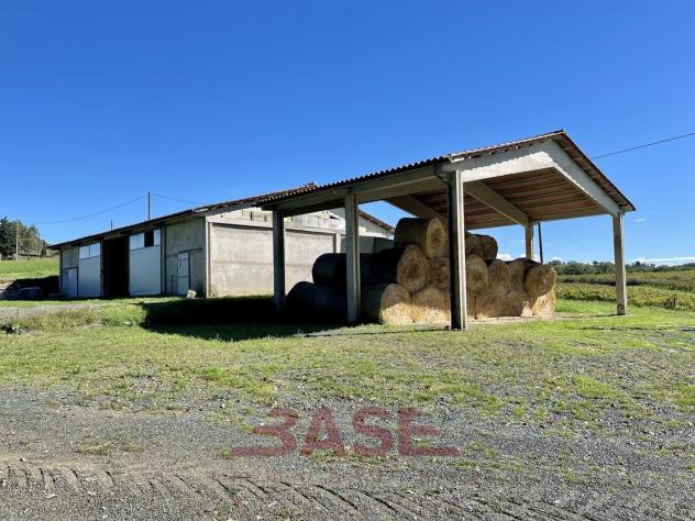 Azienda Agricola in vendita a Guardistallo - Foto 16