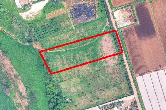Tribunale Roma - RGE 792/2015 - L2638529 - Terreno Agricolo a Roma - Foto 2