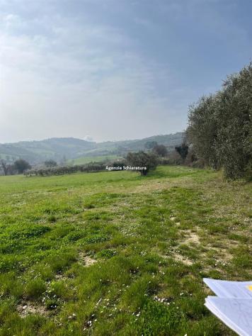 MONTEGRIDOLFO VENDESI RUDERE CON MQ. 1.222 DI TERRENO CON OLIVI - Foto 3