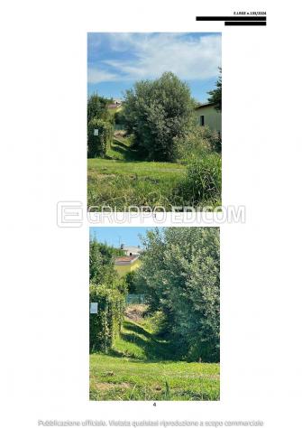 Terreno di 270 mq in vendita a Portogruaro - Rif. 4551526 - Foto 3