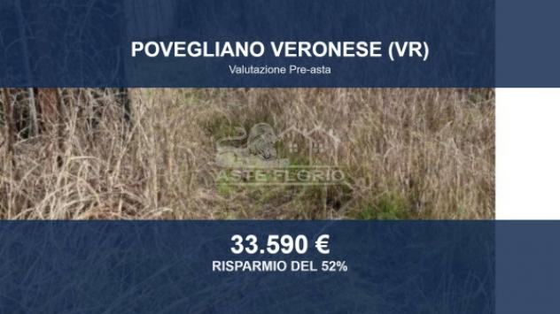 Immobile in asta di 14697 m² in vendita a Povegliano Veronese
