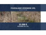 Immobile in asta di 14697 m² in vendita a Povegliano Veronese