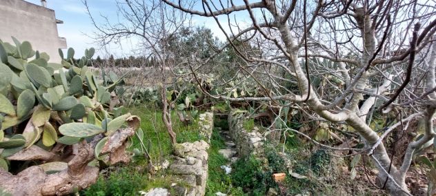 Terreno edificabile in Scorrano (LE) di 569 mq 33000 € tratt. - Foto 3