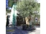 Azienda Agricola Cuntarati Bronte