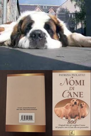 NOMI DI CANE, PATRIZIA PIOLATTO, Sentieri / Geo 2003.