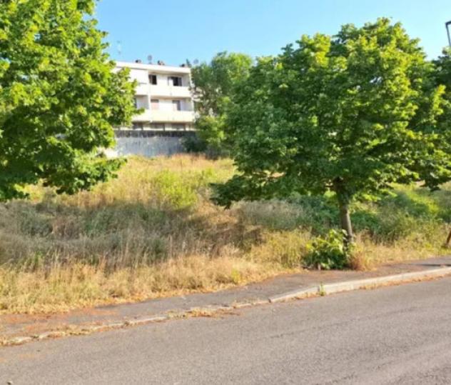 Immobile in asta di 727 m² in vendita a Bertinoro - Foto 6