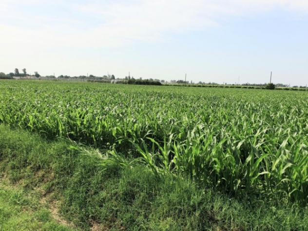 Rustico / Casale di 400 m² in vendita a Bomporto - Foto 9