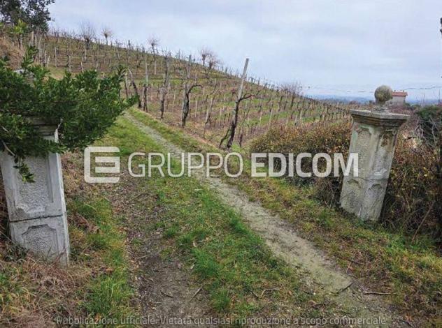 Terreno di 30943 mq in vendita a Vittorio Veneto - Rif. 4551740 - Foto 6