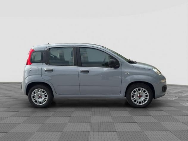 FIAT Panda Panda 1.0 FireFly Hybrid rif. 23952037 - Foto 6