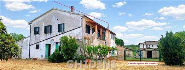 AZIENDA AGRICOLA di 10 vani e di 350 mq (CIVITELLA PAGANICO - PAGANICO) rif. 2571.300M. - Foto 3