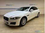 JAGUAR XF 2.0d 180 CV Pure rif. 19121092