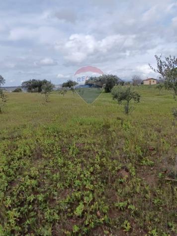 Terreno in vendita a Caltagirone - Foto 6