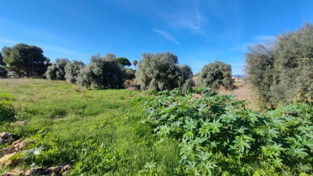 Terreno Agricolo di mq 7000 in strada per Floridia - Foto 6