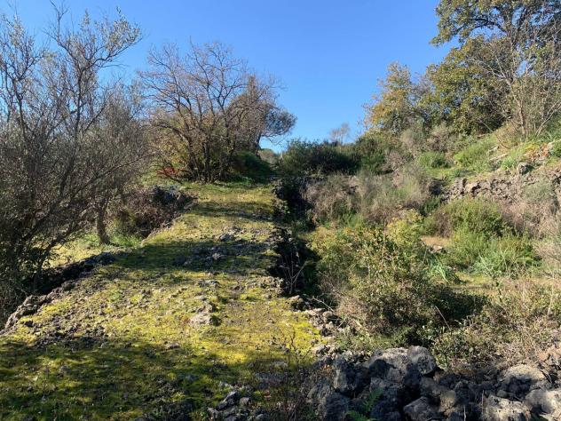 Terreno Edificabile in vendita a Mascalucia - Foto 10