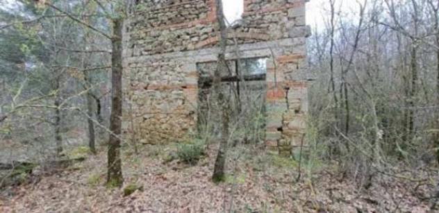 Immobile in asta di 15850 m² in vendita a Piancastagnaio - Foto 3
