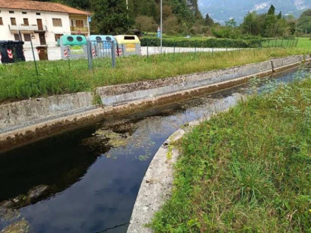 Immobile in asta di 1000 m² in vendita a Valdastico - Foto 6