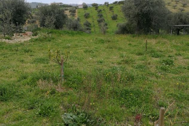 Terreno e casolare Città Sant'Angelo - Foto 7