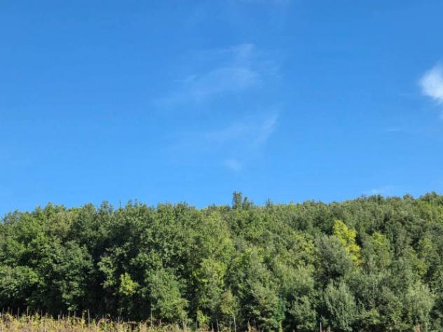 Immobile in asta di 684931 m² in vendita a Francolise - Foto 5