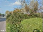 terreno di 8000mq provincia di pavia comune Inverno e Monteleone