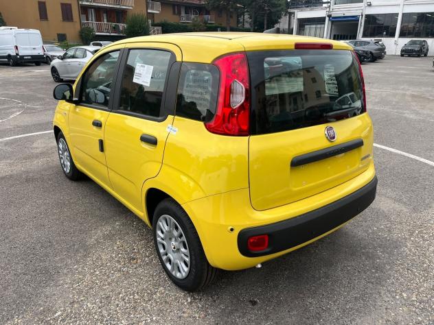 FIAT Pandina Pandina 1.0 firefly hybrid Icon s&s 65cv - Foto 9