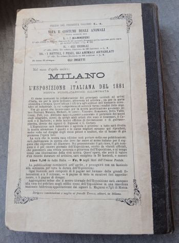 RETTILI, PESCI E ANIMALI ARTICOLATI, Ed. F.lli Treves 1891. - Foto 2