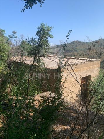 Terreno Agricolo con Magazzino in Vendita a 6 km da Cefalù - Foto 2