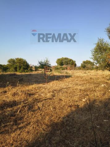 Terreno Edificabile in vendita a Noto - Foto 6